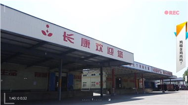 透明基地 鮮味直擊｜溯源康濃雞精原產(chǎn)地！