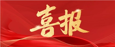 喜訊！長康實業(yè)上榜2024年度“岳陽民營企業(yè)50強” ！